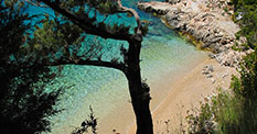 Hvar beaches