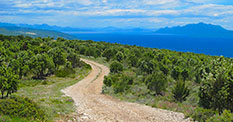 Island Hvar