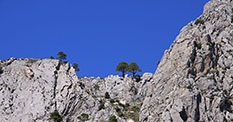 Hvar hiking